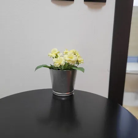 Mag Motel Bukurešť